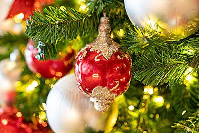 《完蛋！我被美女包围了》新花絮 女主们的沙滩派对